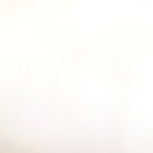 Meet your Posher, Ellie